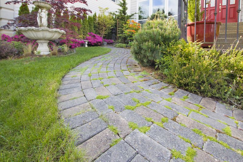 Decorative Paver Walkway