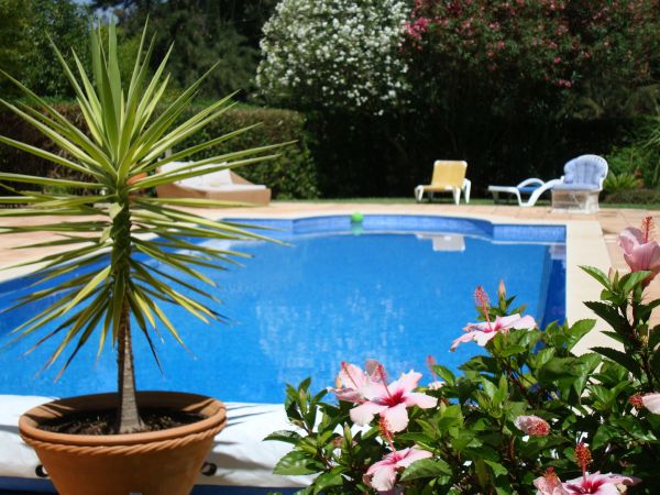 Cost of Pool Terrace Renovation in Chesterfield