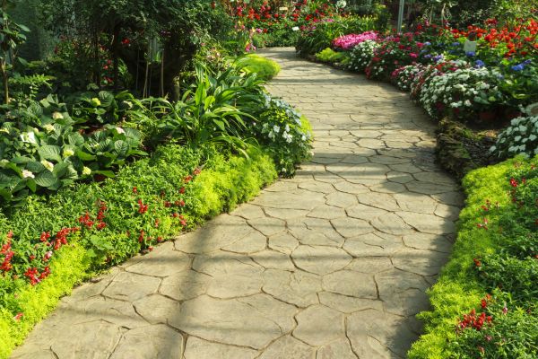 Cost of Stone Pathway Service in Chesterfield
